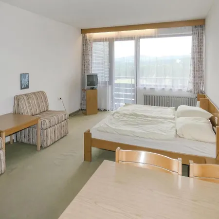 0-bedroom In Apartment Haidmühle